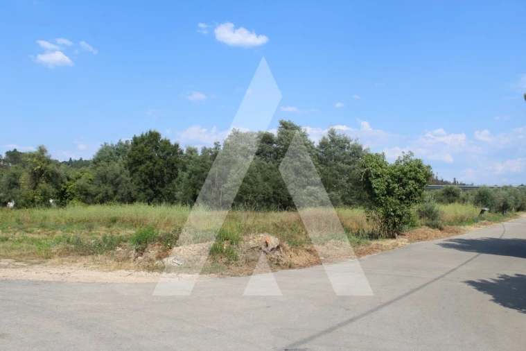 Terreno para Venda em Lousã e Vilarinho