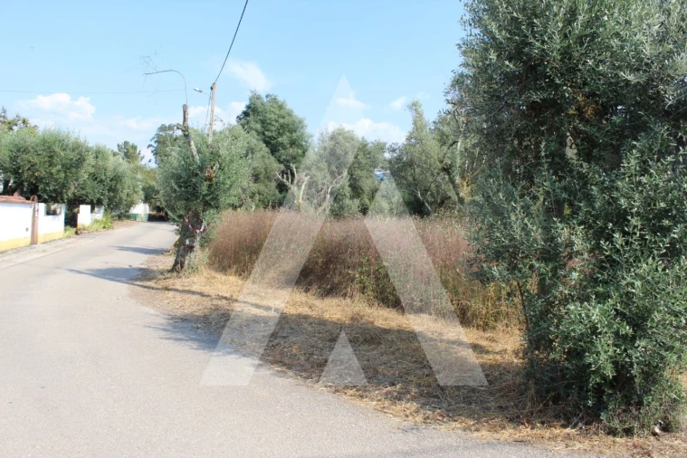 Terreno para Venda em Lousã e Vilarinho Foto 5