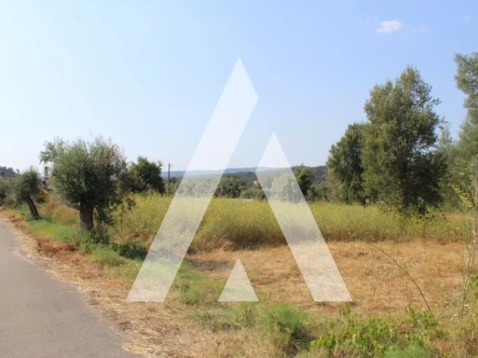 Terreno para Venda em Lousã e Vilarinho Foto 11