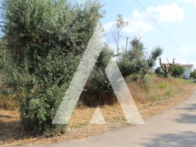 Terreno para Venda em Lousã e Vilarinho Foto 12