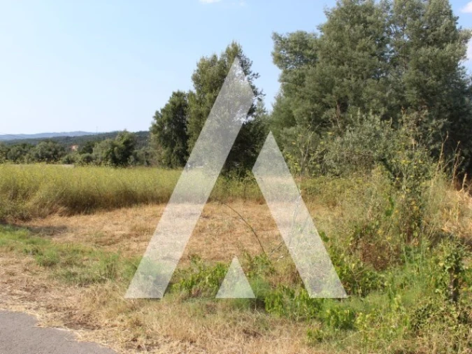 Terreno para Venda em Lousã e Vilarinho Foto 16