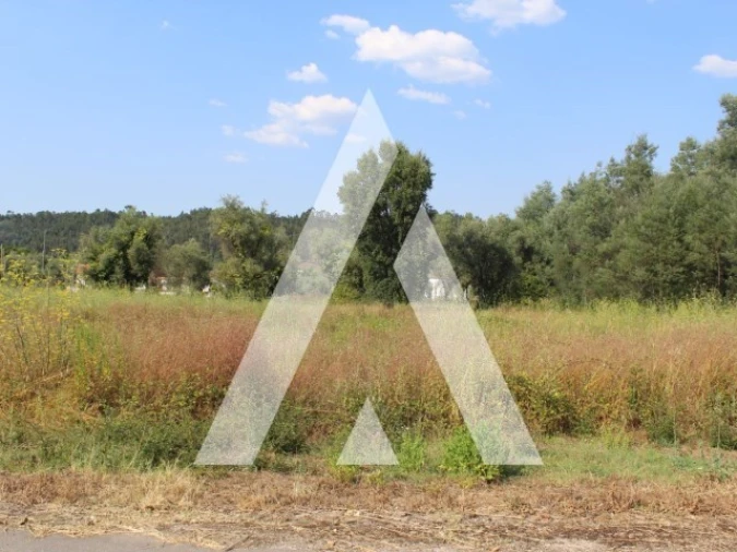 Terreno para Venda em Lousã e Vilarinho Foto 17