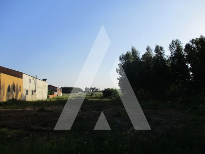 Terreno para Venda em Palhaça Foto 1