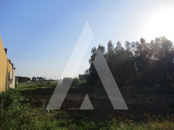 Terreno para Venda em Palhaça Foto 2