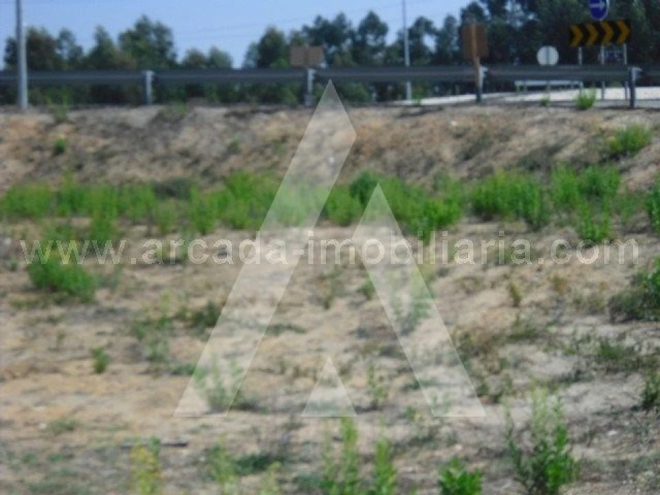 Terreno para Venda em Sangalhos Foto 6