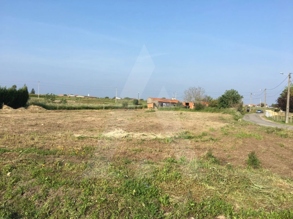 Terreno para Venda em Oliveirinha Foto 3