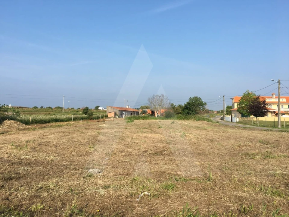 Terreno para Venda em Oliveirinha Foto 4