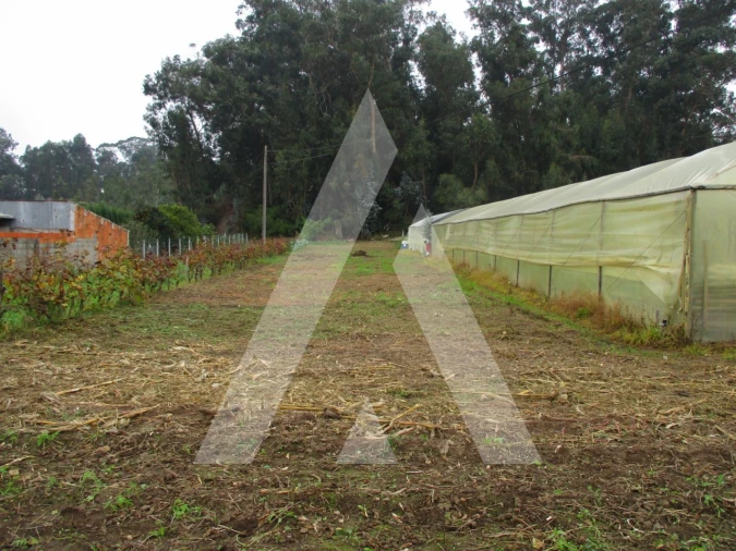 Terreno para Venda em Fermentelos Foto 2