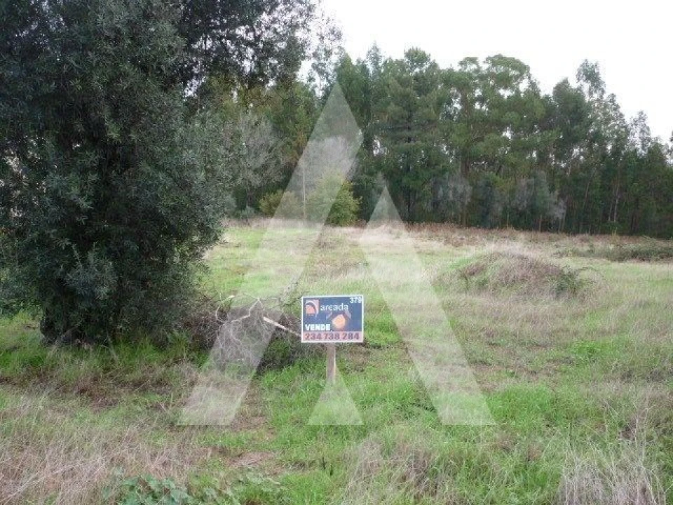 Terreno para Venda em Oliveira do Bairro Foto 1