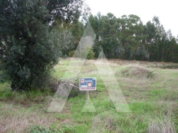 Terreno para Venda em Oliveira do Bairro