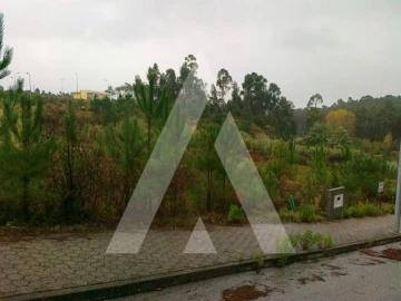 Terreno para Venda em Águeda e Borralha