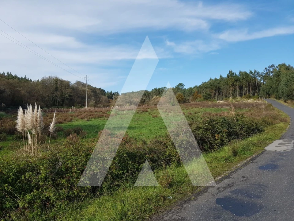 Terreno para Venda em Oiã Foto 1