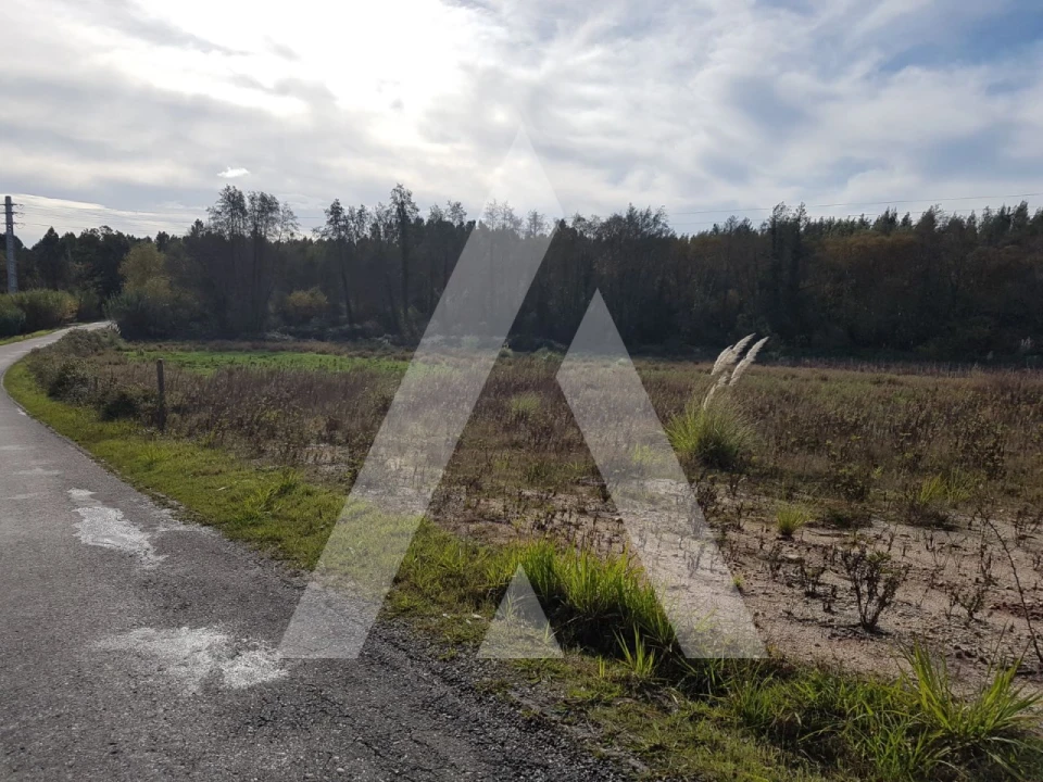 Terreno para Venda em Oiã Foto 2