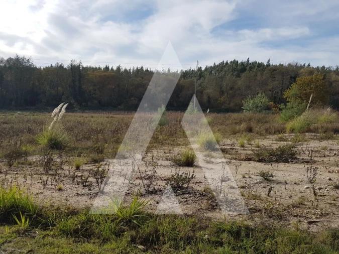 Terreno para Venda em Oiã Foto 3