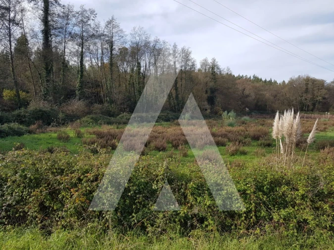 Terreno para Venda em Oiã Foto 5