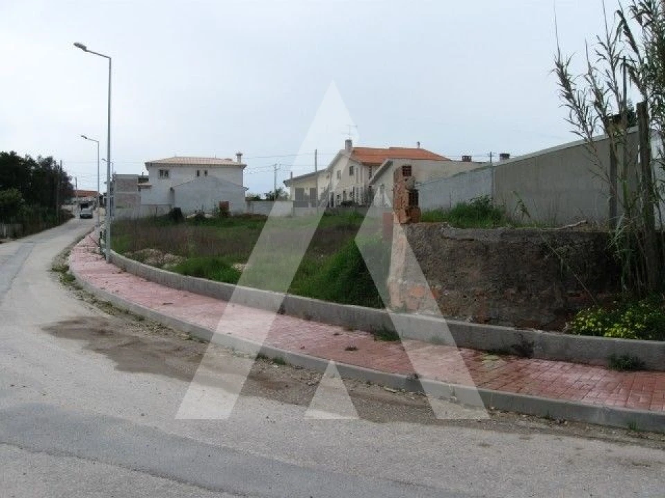 Terreno para Venda em Oliveira do Bairro Foto 1