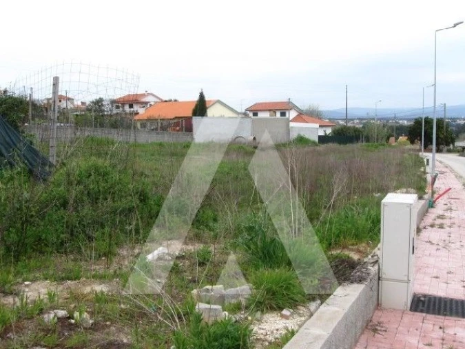 Terreno para Venda em Oliveira do Bairro Foto 2