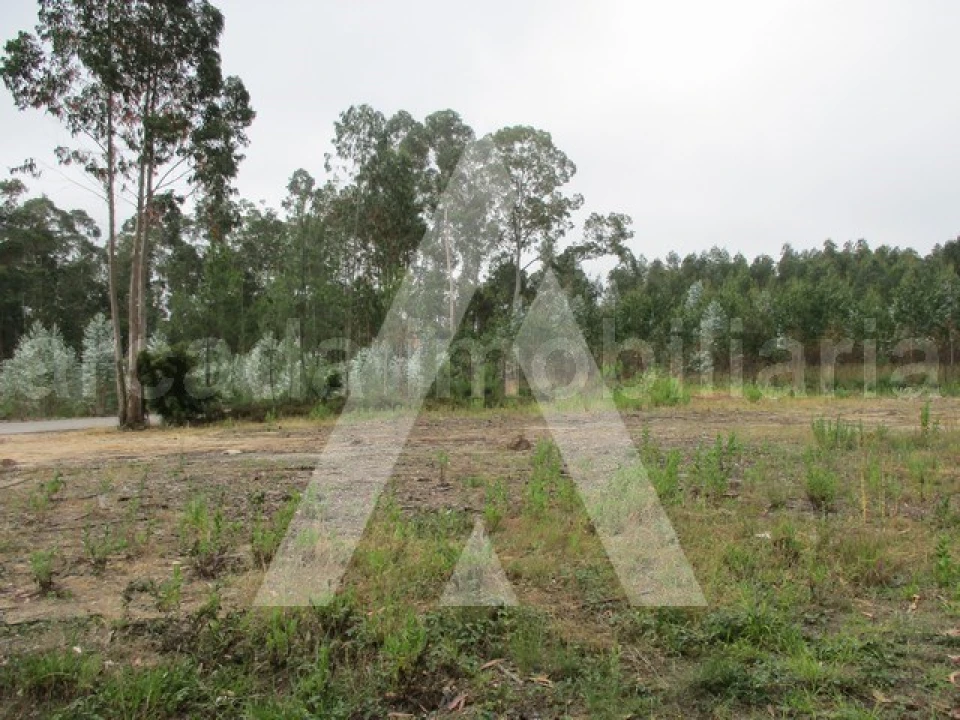 Terreno para Venda em Oliveira do Bairro Foto 1