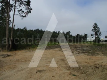 Terreno para Venda em Oliveira do Bairro