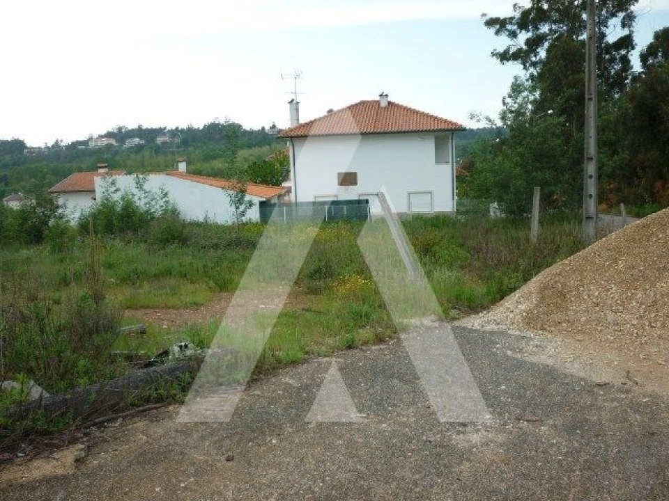 Terreno para Venda em Avelãs de Caminho Foto 1