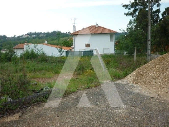Terreno para Venda em Avelãs de Caminho Foto 1
