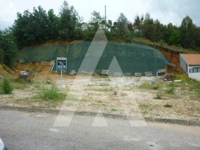 Terreno para Venda em Avelãs de Caminho Foto 2
