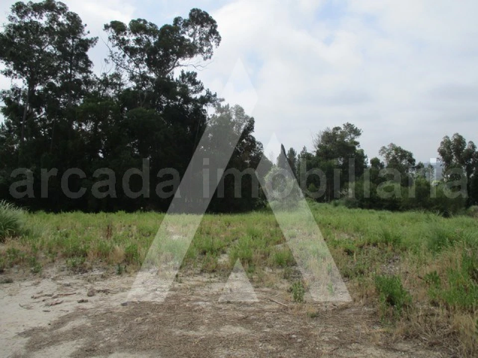 Terreno para Venda em Oliveira do Bairro Foto 1
