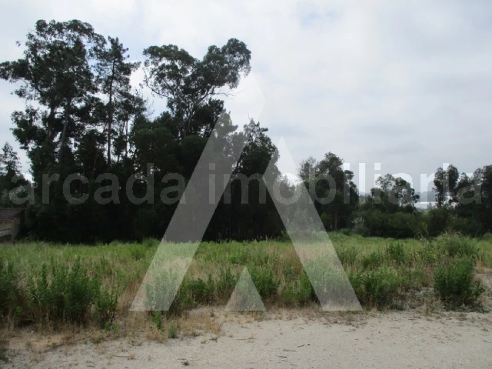 Terreno para Venda em Oliveira do Bairro Foto 2