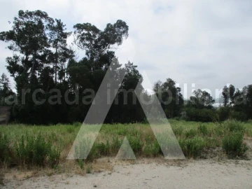 Terreno para Venda em Oliveira do Bairro