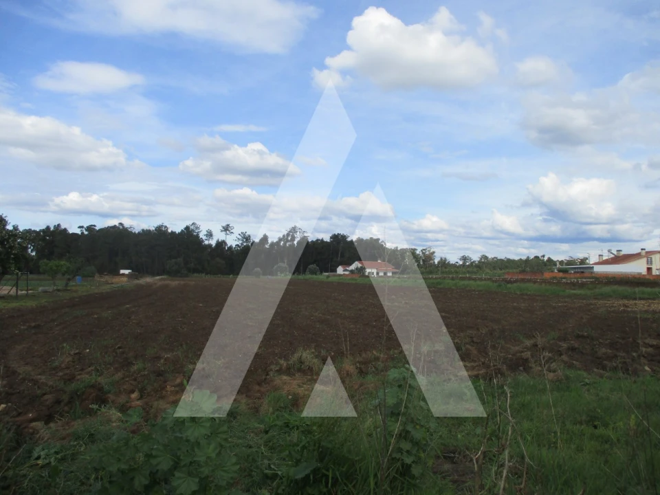 Terreno para Venda em Oiã Foto 1