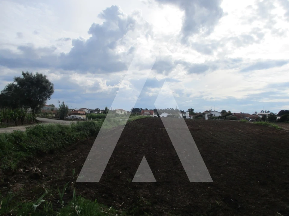 Terreno para Venda em Oiã Foto 2