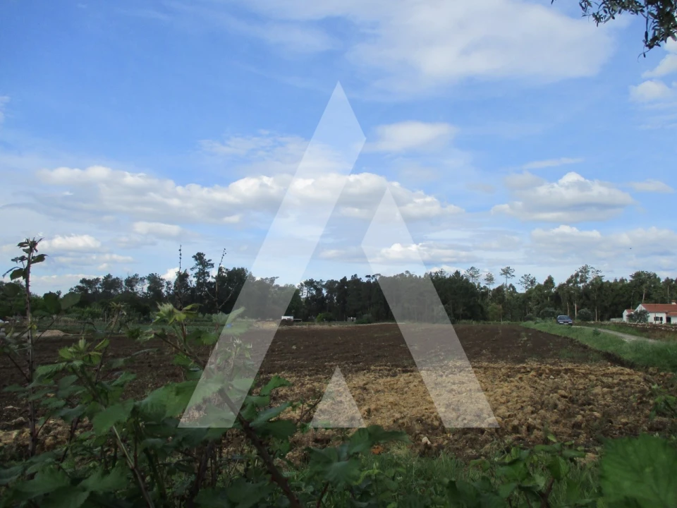 Terreno para Venda em Oiã Foto 3