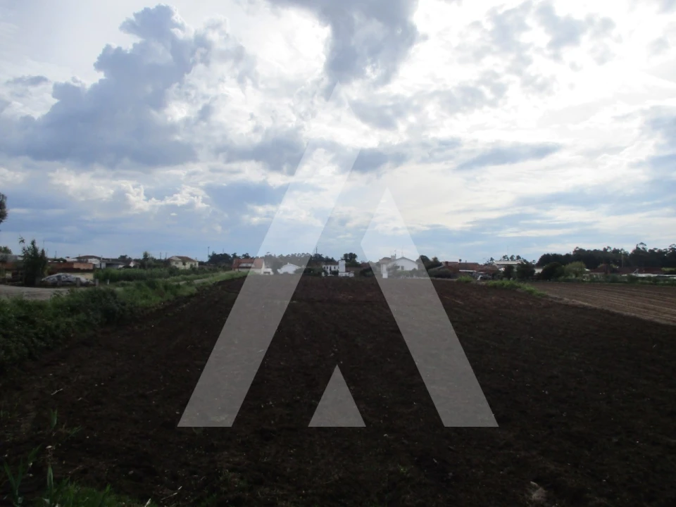 Terreno para Venda em Oiã Foto 4