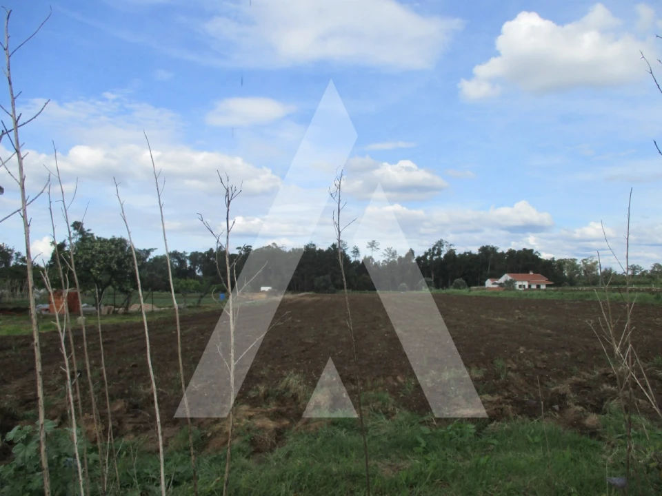 Terreno para Venda em Oiã Foto 5