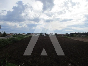 Terreno para Venda em Oiã