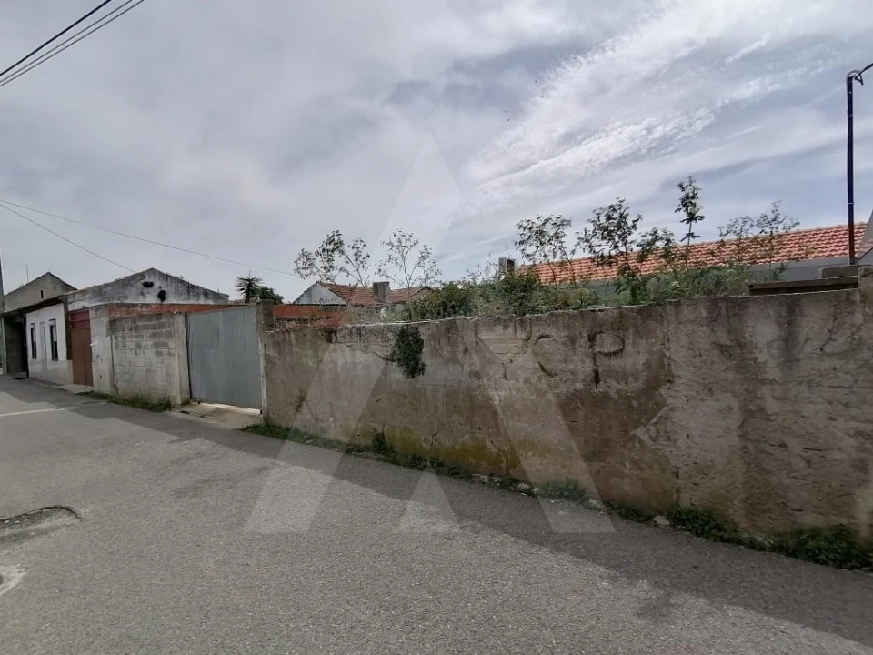 Terreno para Venda em Vagos e Santo António Foto 4