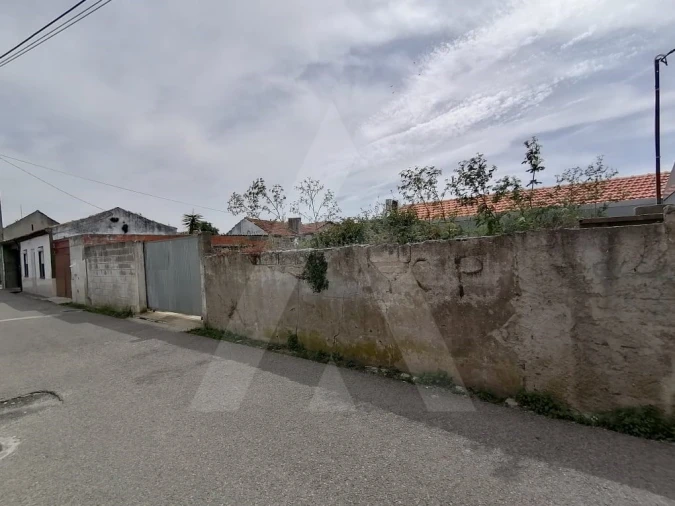 Terreno para Venda em Vagos e Santo António Foto 4