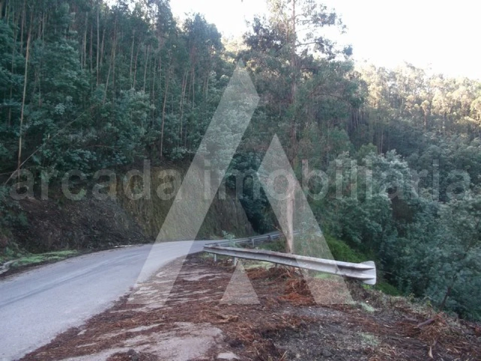Terreno para Venda em Belazaima do Chão, Castanheira do Vouga e Agadão Foto 3
