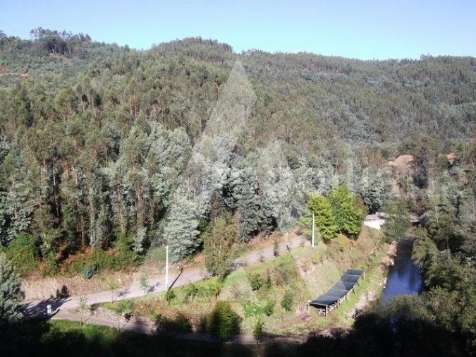 Terreno para Venda em Belazaima do Chão, Castanheira do Vouga e Agadão Foto 1