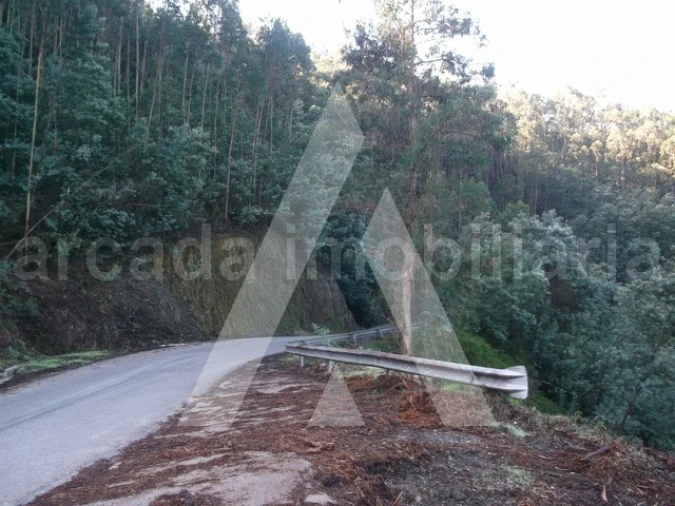 Terreno para Venda em Belazaima do Chão, Castanheira do Vouga e Agadão Foto 3