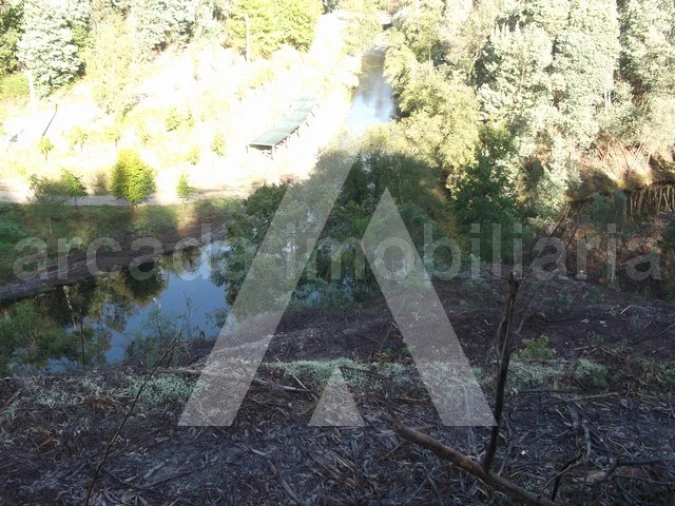 Terreno para Venda em Belazaima do Chão, Castanheira do Vouga e Agadão Foto 5