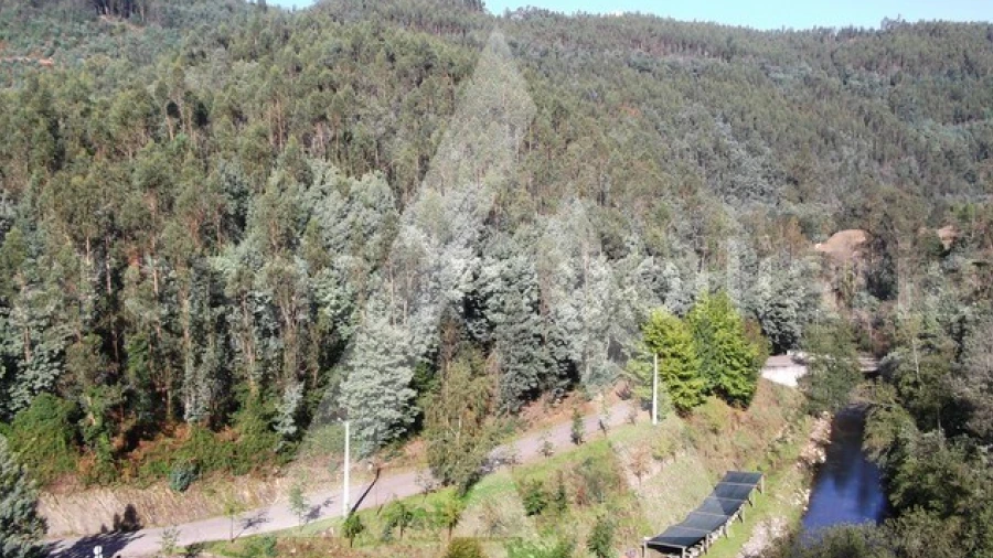 Terreno para Venda em Belazaima do Chão, Castanheira do Vouga e Agadão