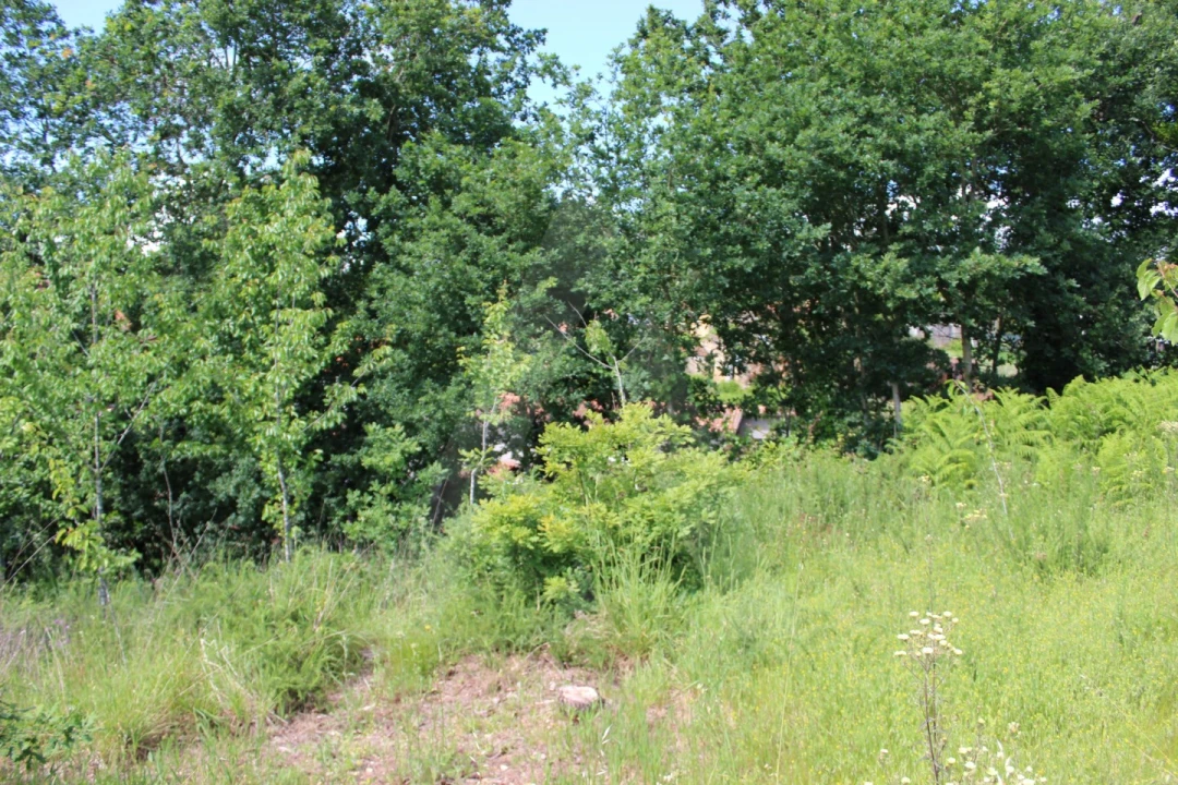 Terreno para Venda em Travassô e Óis da Ribeira Foto 7