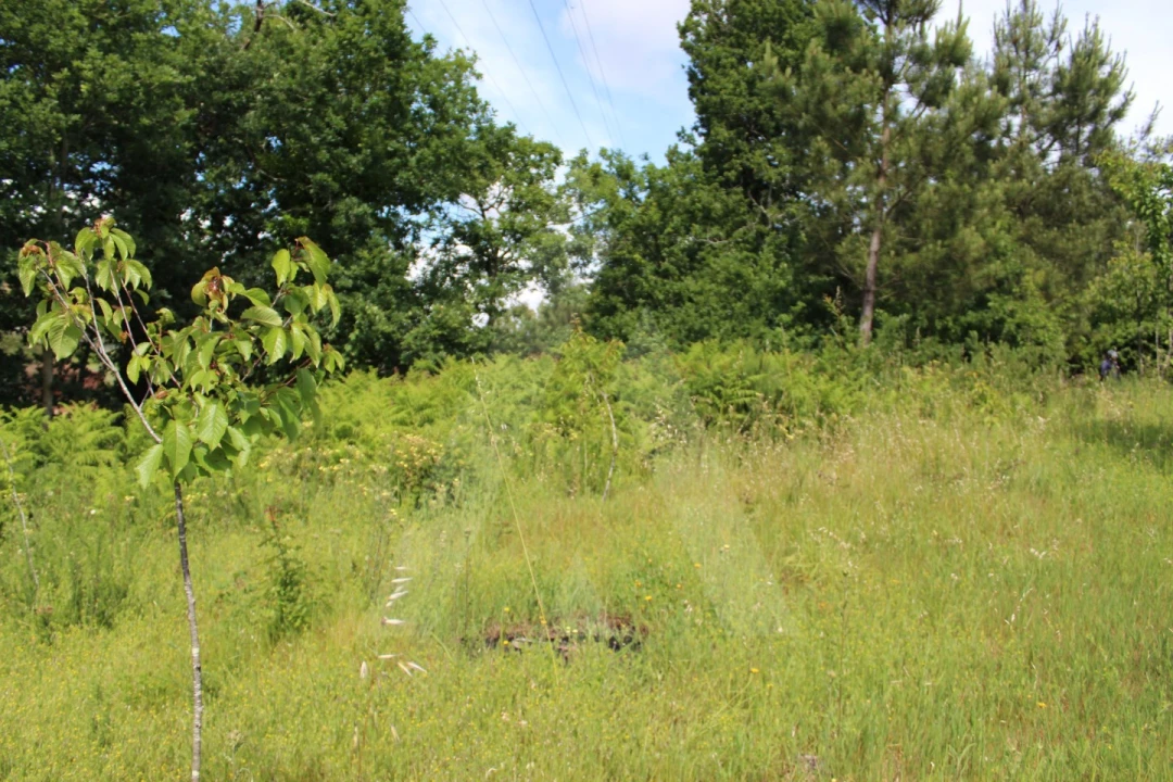 Terreno para Venda em Travassô e Óis da Ribeira Foto 10
