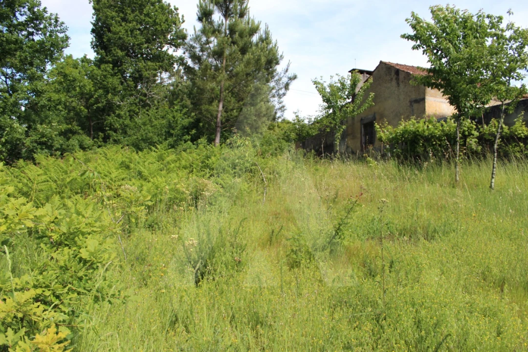 Terreno para Venda em Travassô e Óis da Ribeira Foto 12