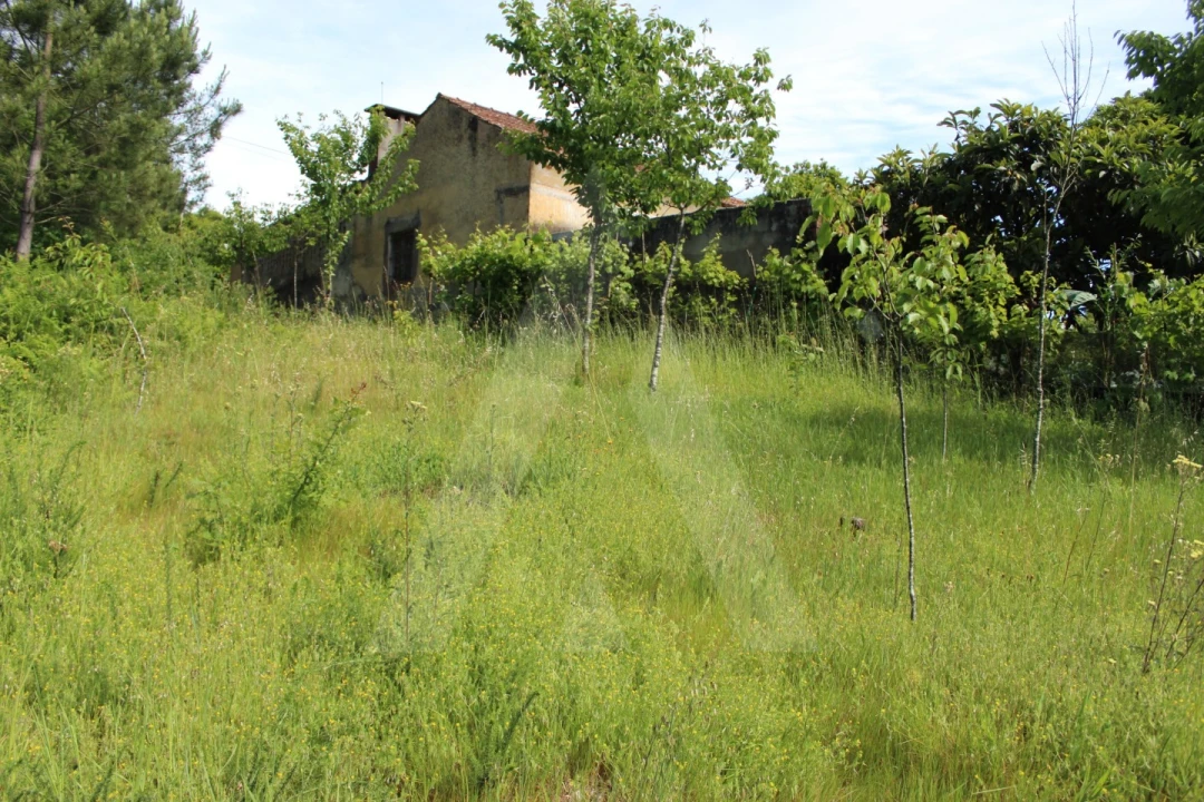 Terreno para Venda em Travassô e Óis da Ribeira Foto 14