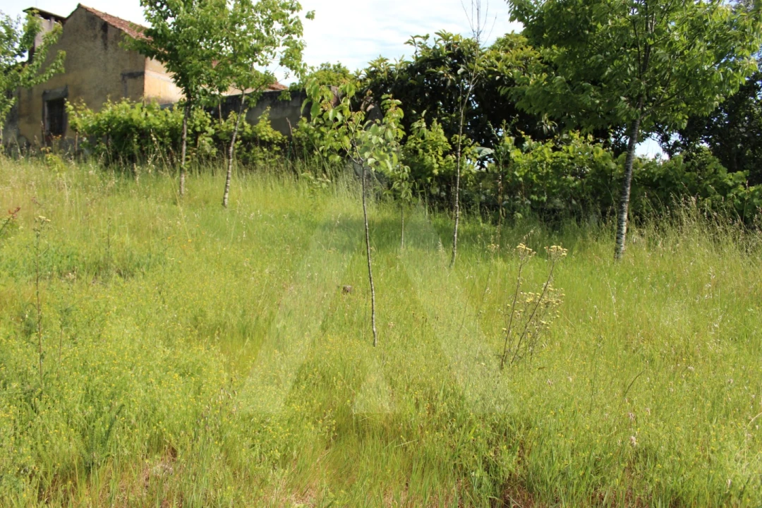 Terreno para Venda em Travassô e Óis da Ribeira Foto 15