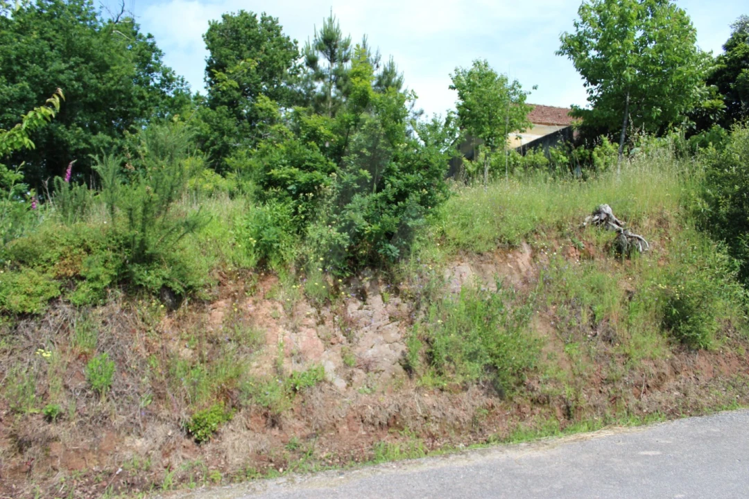 Terreno para Venda em Travassô e Óis da Ribeira Foto 16