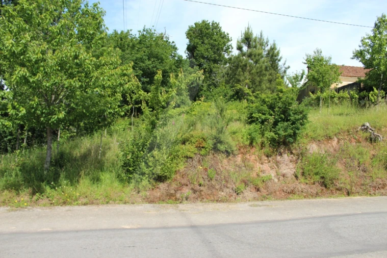 Terreno para Venda em Travassô e Óis da Ribeira Foto 1