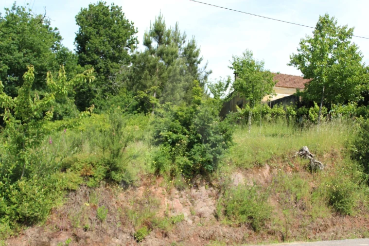 Terreno para Venda em Travassô e Óis da Ribeira Foto 2